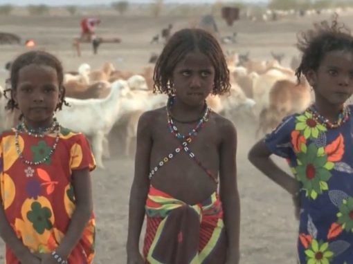 Äthiopien – Afar Nomaden / ZDF